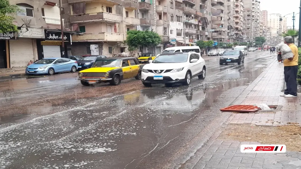 تحذير لـ مزارعي مصر.. تفاصيل موجة صقيع وشبورة مائية كثيفة الأحد المقبل